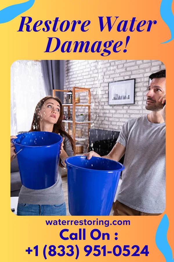 water restoration Superior Extraction Pros Lamont