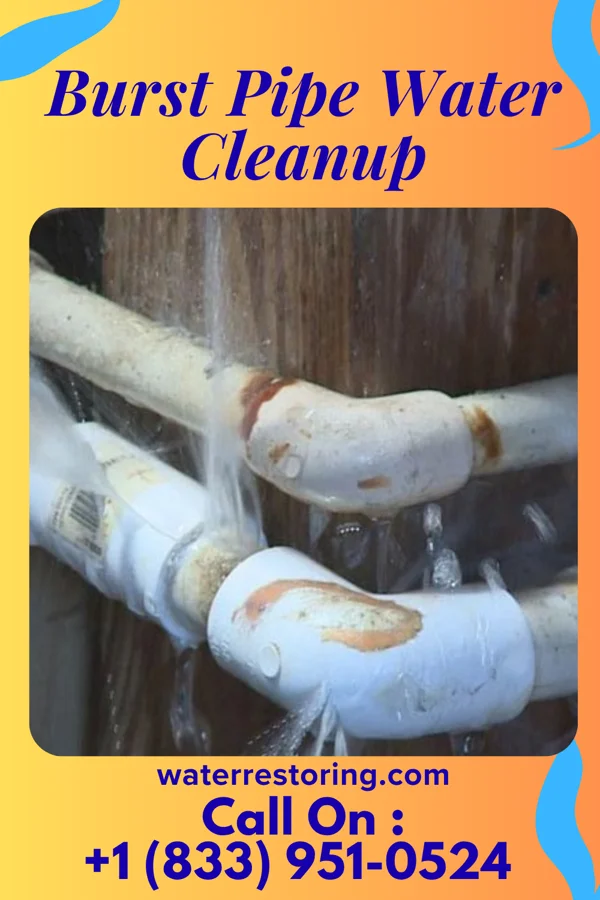 Burst Pipe Water Cleanup in Lamont, OK