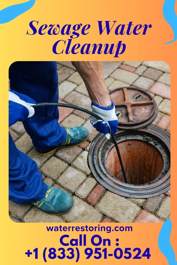 Sewage Water Cleanup in Lamont, OK